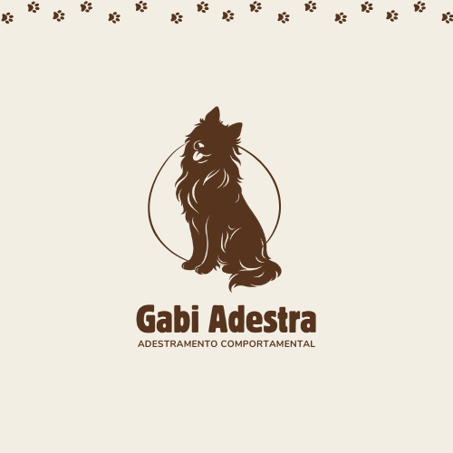 Adestramento de cães com métodos positivos